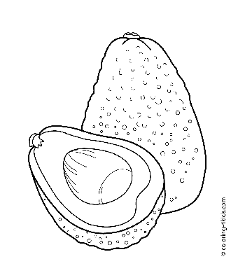 Авокадо раскраски