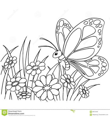 Бабочка Книжка-раскраска Детский рисунок, бабочка, белый, ребенок, монохромный png | PNGВыигрыш