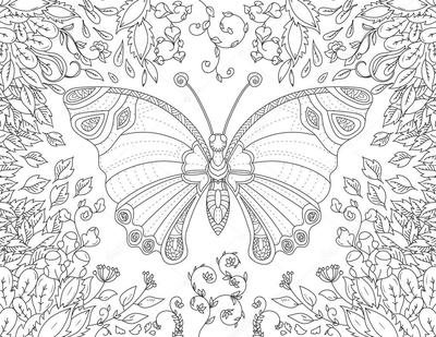 Раскраски с цветами и бабочками || РАСКРАСКИ-PRINTABLE.CO