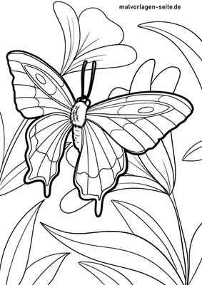 Бабочка и подсолнух Раскраски Печать - Рисунок бабочки на цветке прозрачный PNG - 606x806 - Скачать бесплатно на NicePN