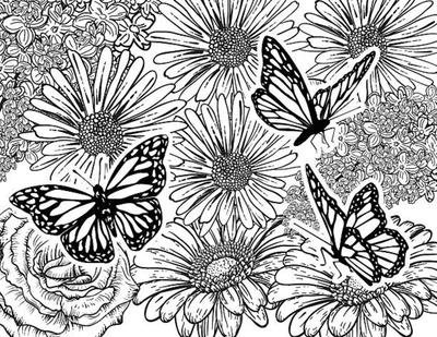 Цветочные цветы бабочки, страница раскраски бабочки для детей 11027738 Vector Art at Vecteez