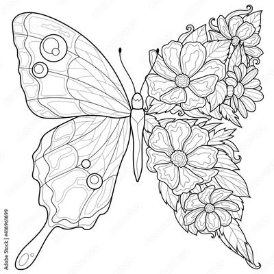 Раскраски бабочки - раскраски для детей и взрослых
