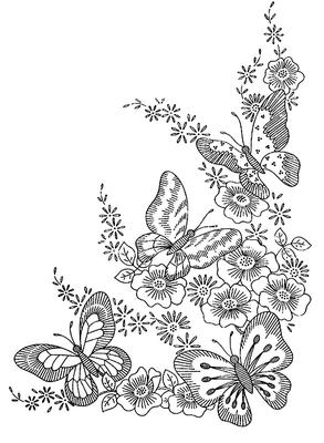 Раскраски Бабочка и Цветок Фото со стока - Иллюстрация животных, цвет: 3476713