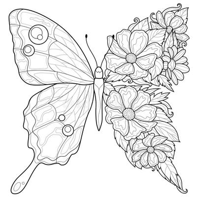 Бабочка и цветы.Раскраска антистресс для детей и взрослых