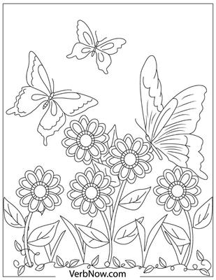 Раскраска Бабочка на цветке - Бесплатные раскраски для детей печать онлайн